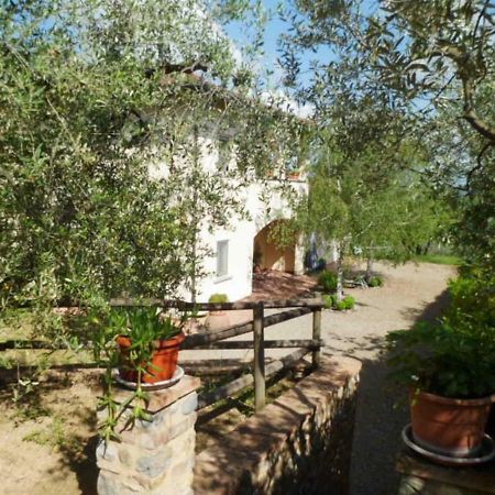 Casa Le Betulle Pensionat Montespertoli Eksteriør billede